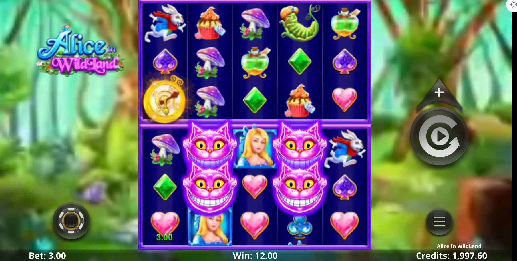 Alice in Wildland slot