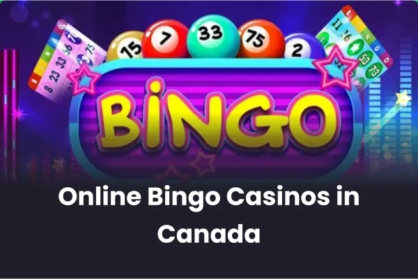 Bingo Casino Online