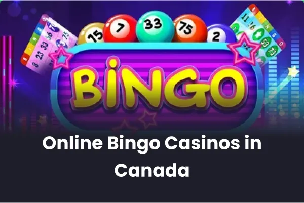 Online Bingo Casinos in Canada